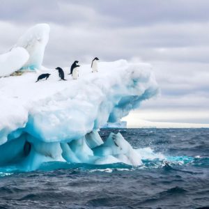 Antarctica has just recorded temperatures of above 20C for the first time in history. 5 things we can do at home to fight climate change.