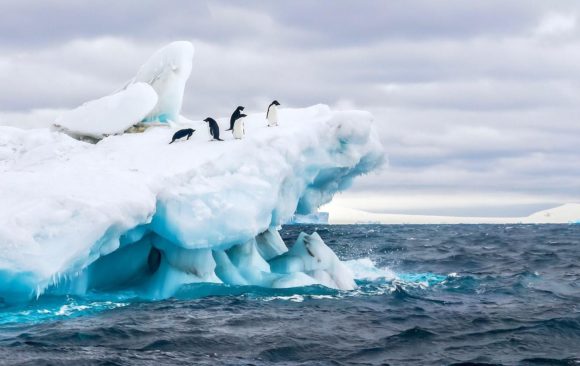 Antarctica has just recorded temperatures of above 20C for the first time in history. 5 things we can do at home to fight climate change.